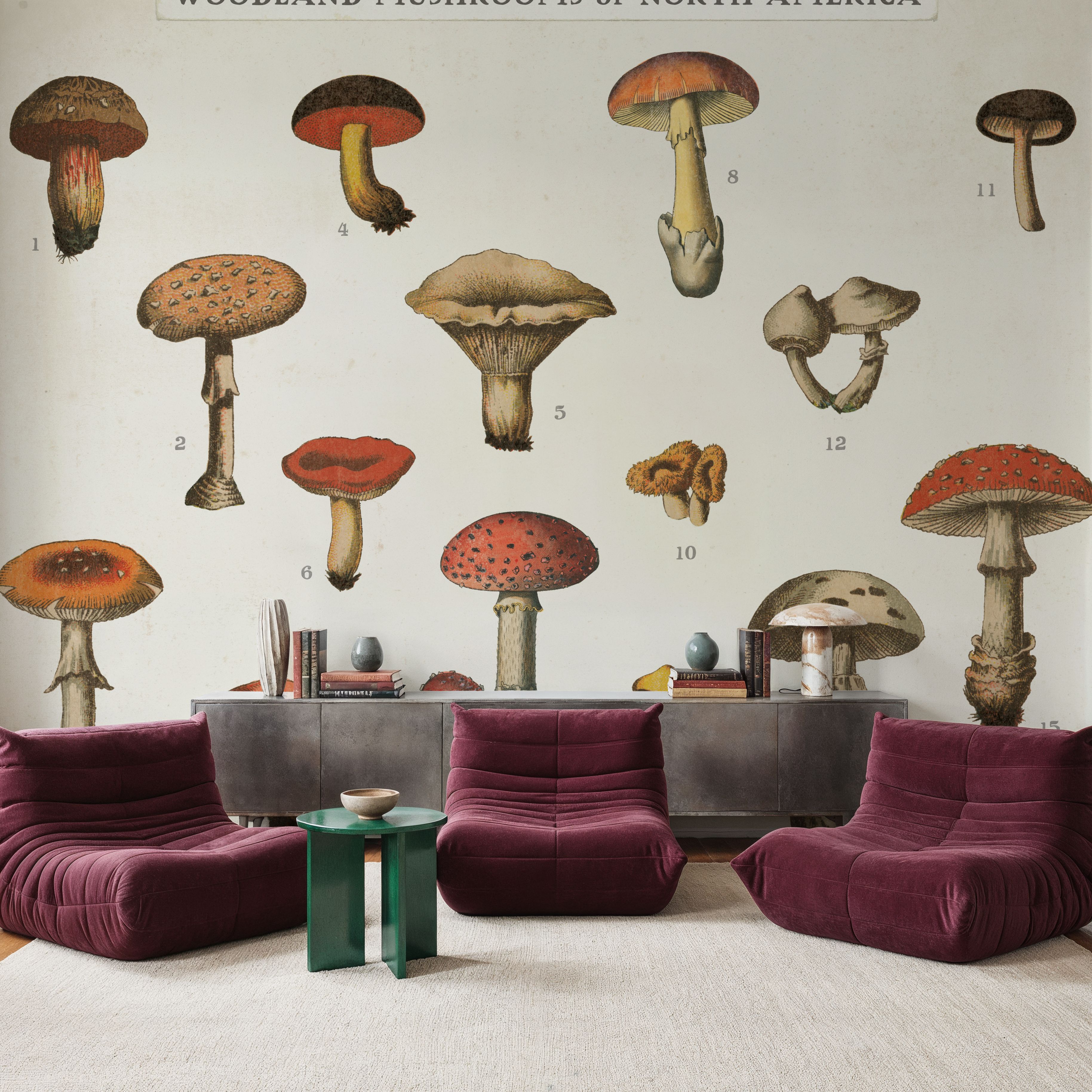 Mushroom Chart I light