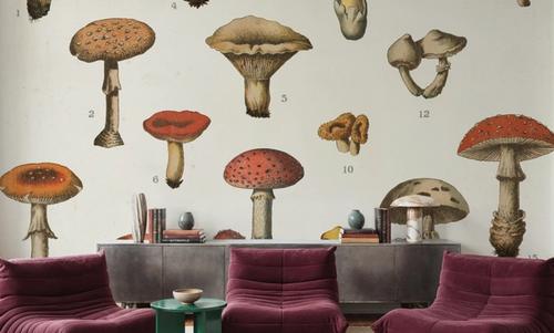 Mushroom Chart I light