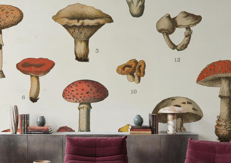 Mushroom Chart I light