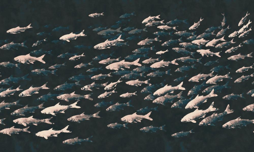 Sumi Current, Deep Sea