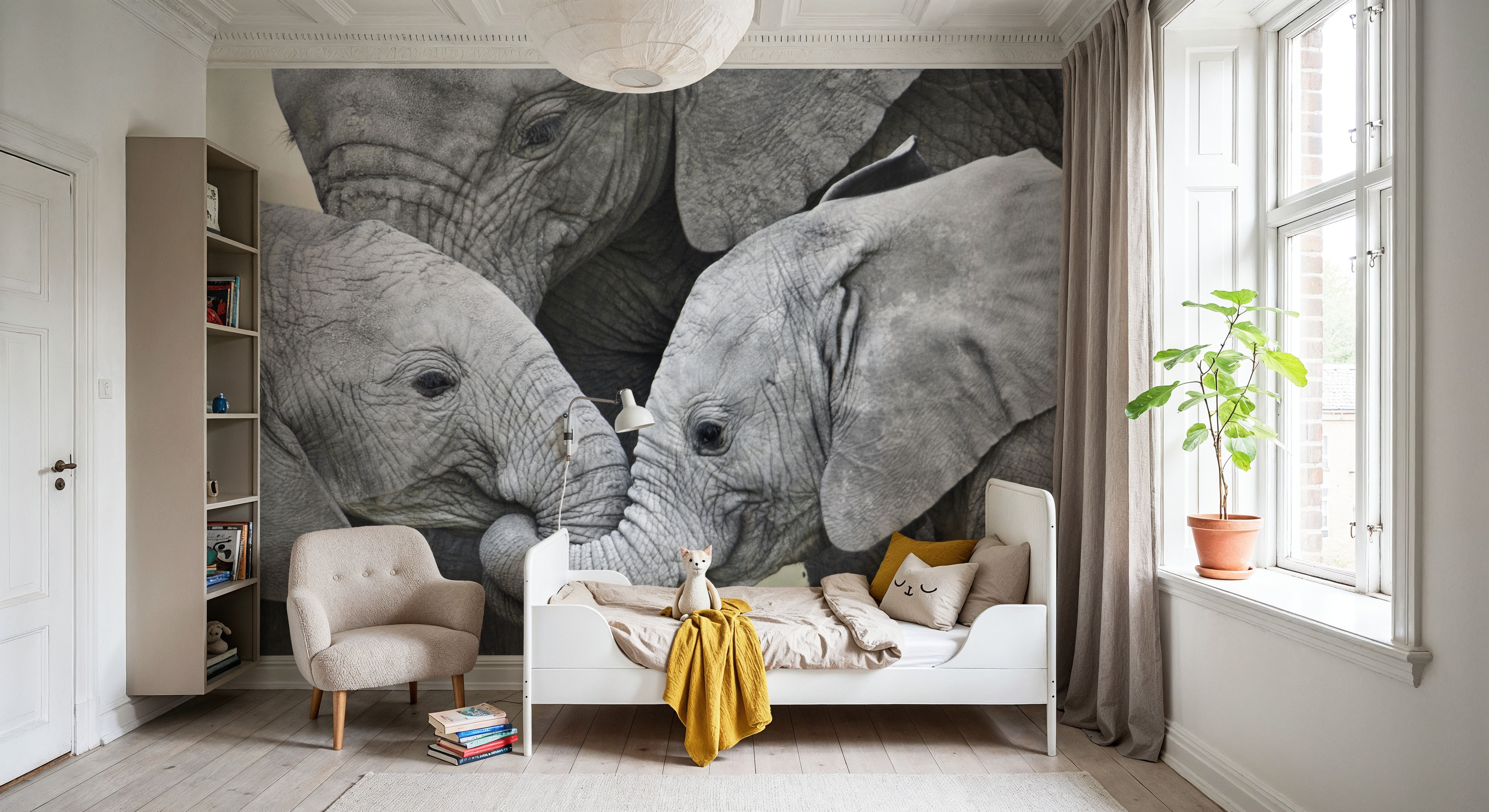 Elephant Greetings Photo