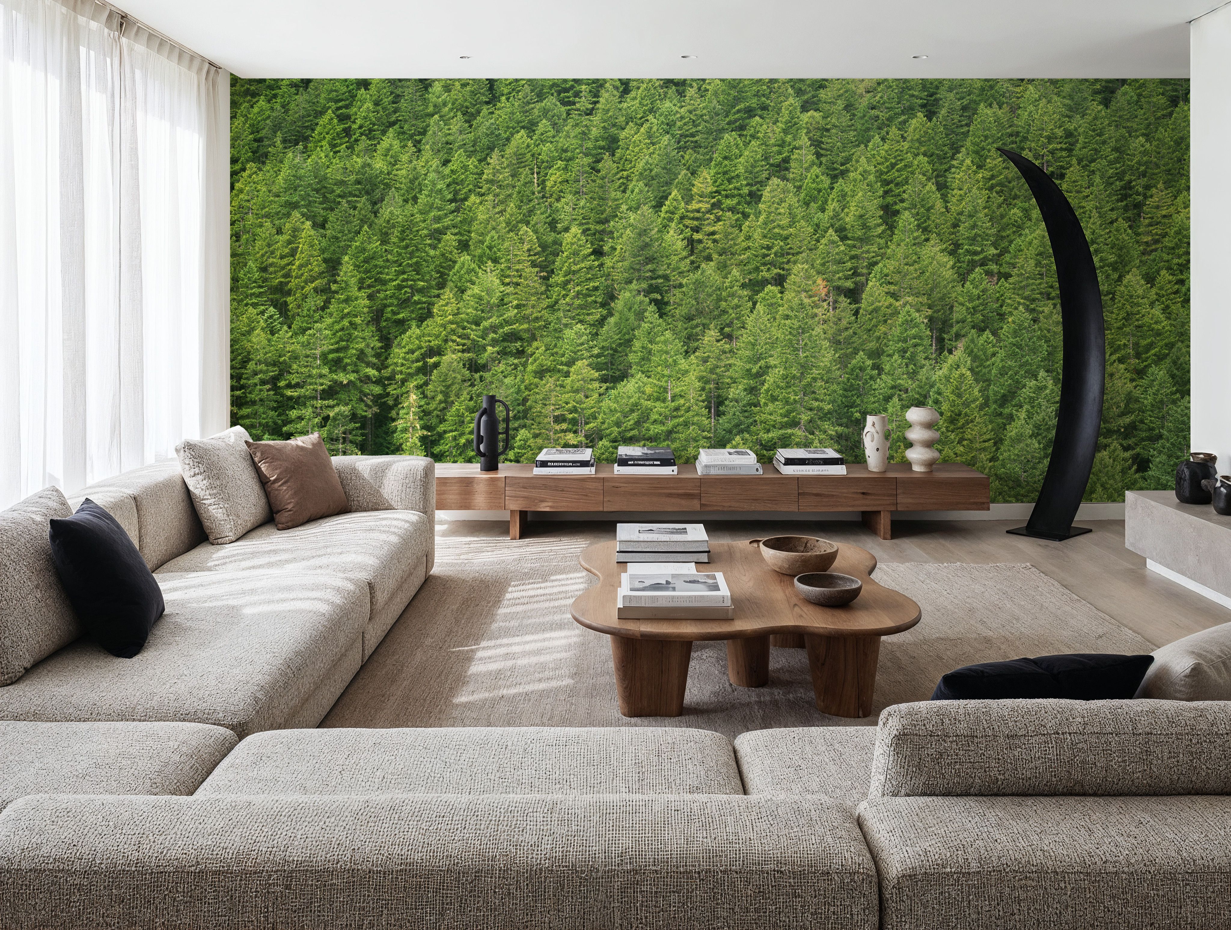 Evergreen Forest in Washintong State