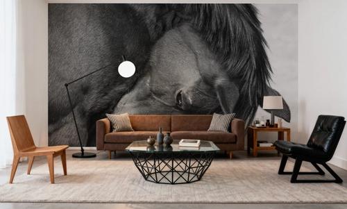 Warm Western BW