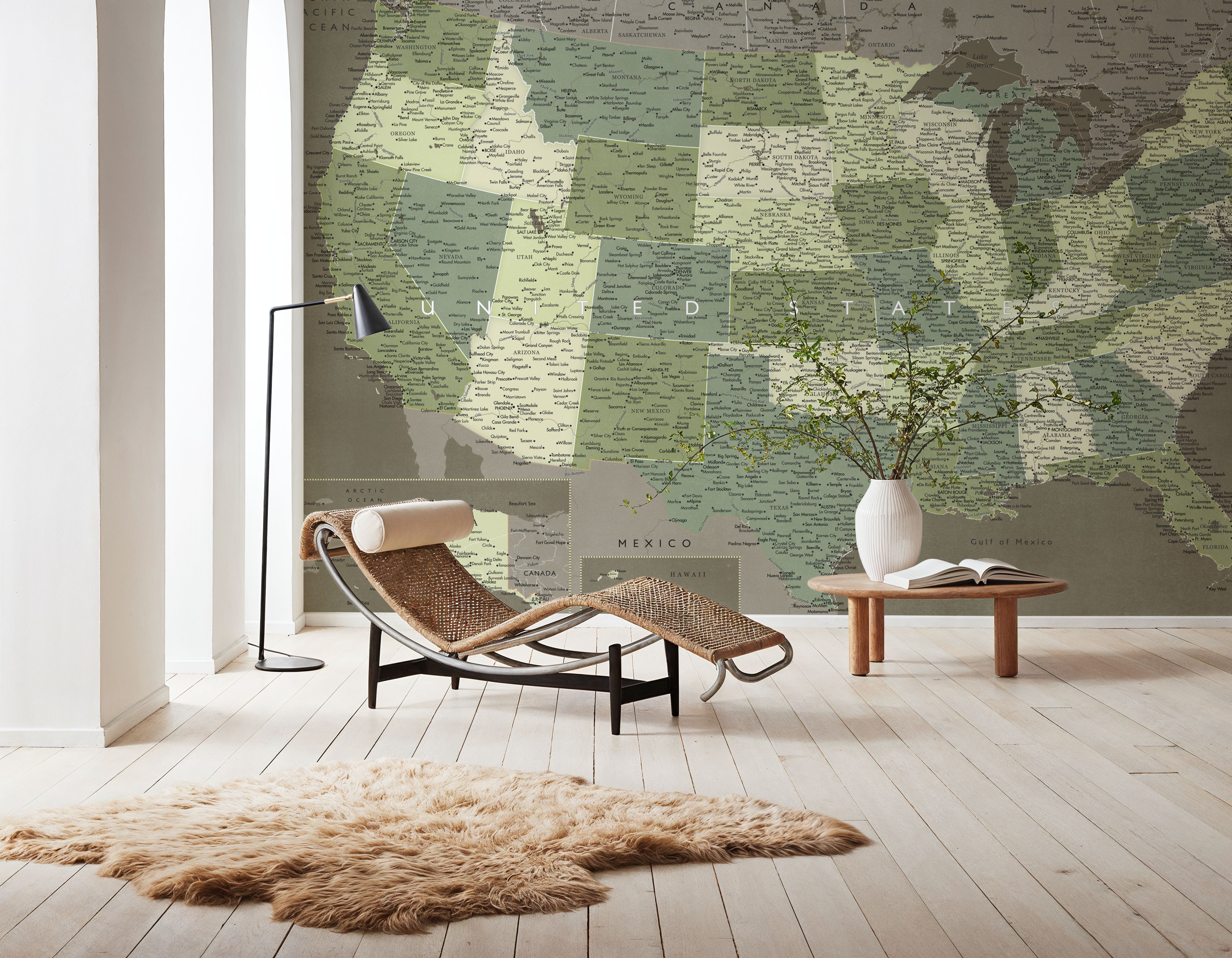 US Map Detailed - Camo