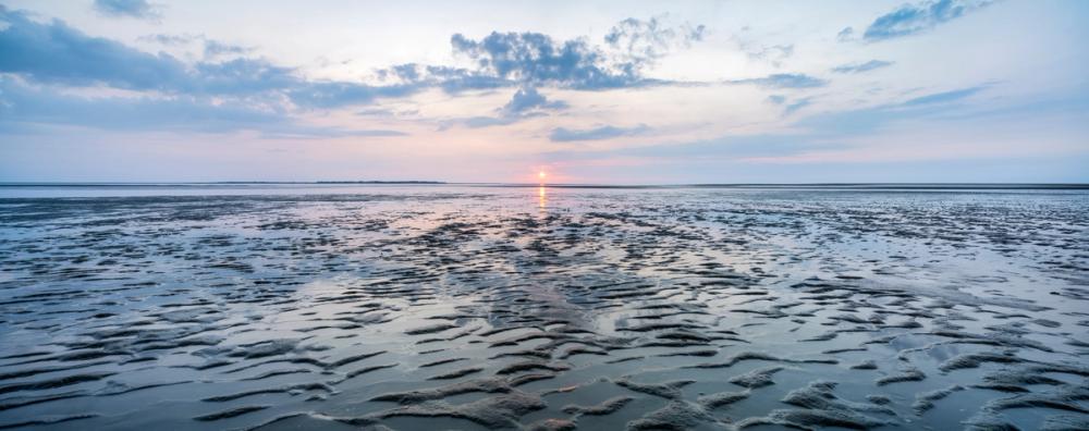 Wadden Sea