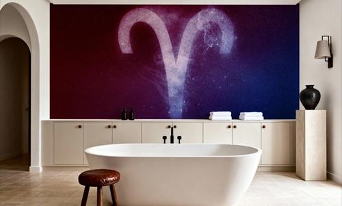 Aries Zodiac of Stars