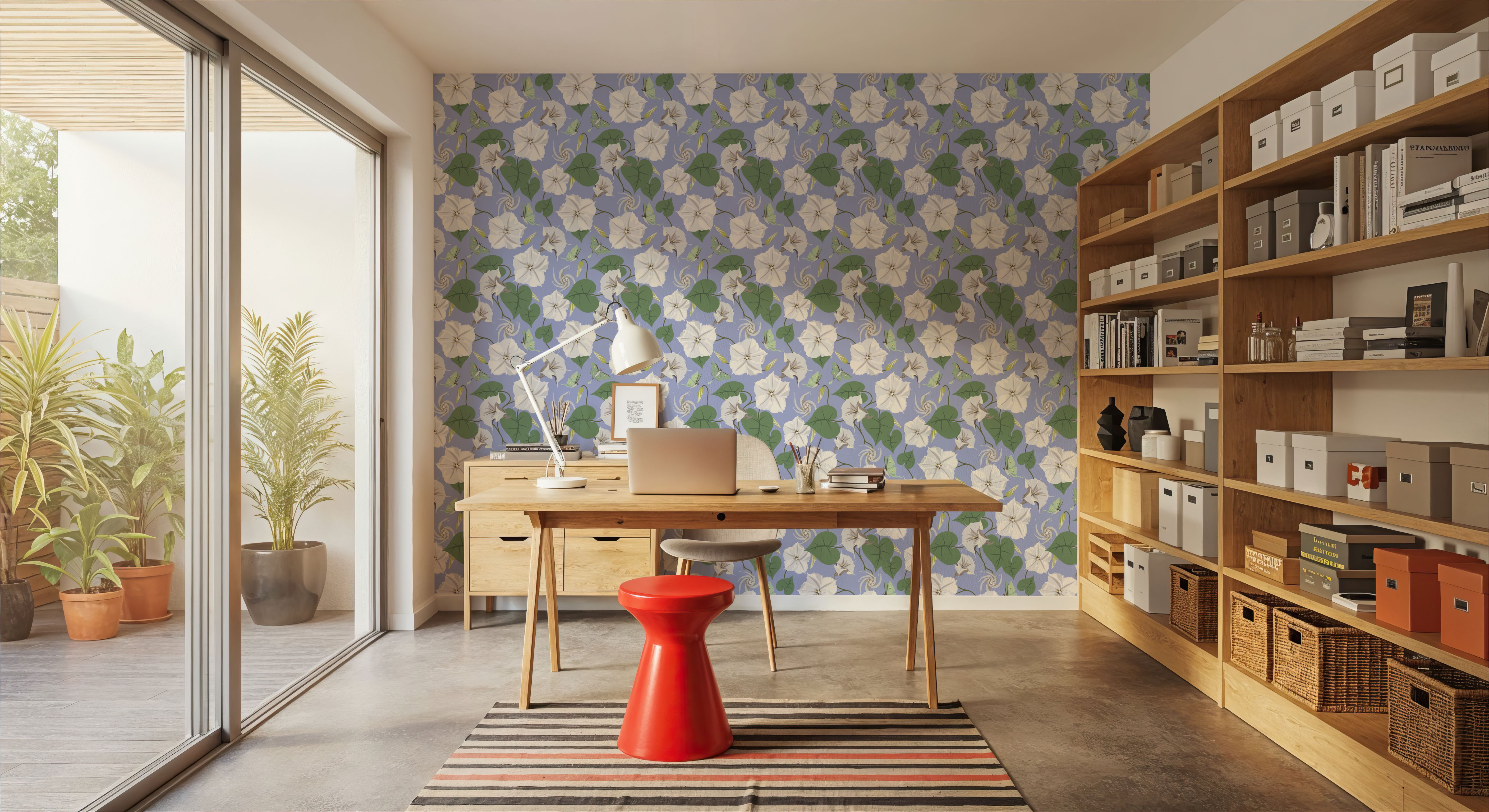 Moon Vine, Light Blue