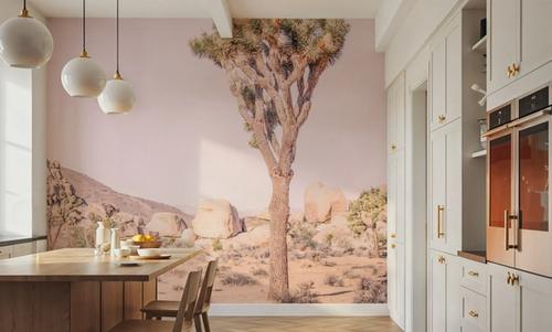 Joshua Tree Study II
