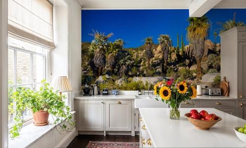 Baja Palms
