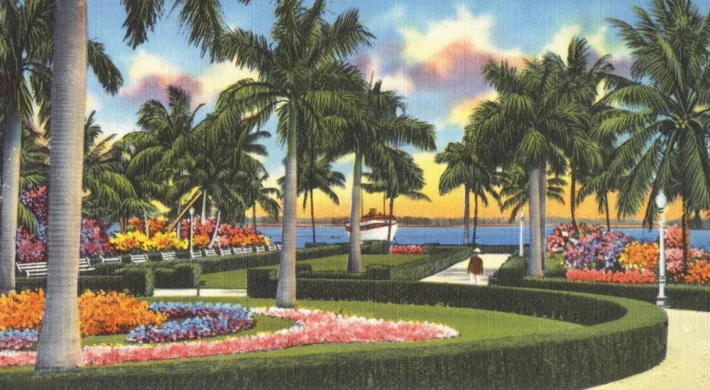 Florida Park - Screenprint Postcard
