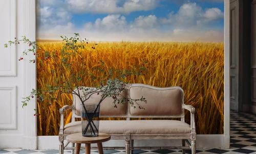 Amber Field Sky