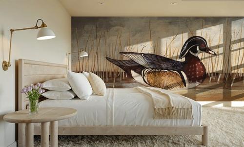 Wood Duck