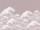 Edo Waves, Dusty Rose
