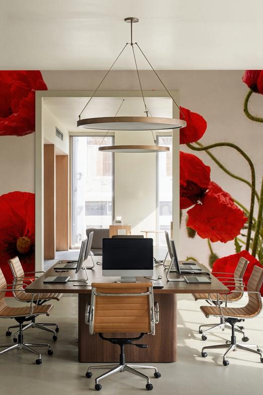 Red Poppy