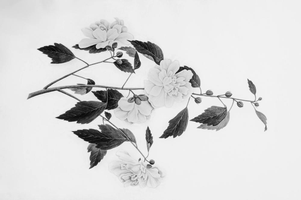 Botanical III