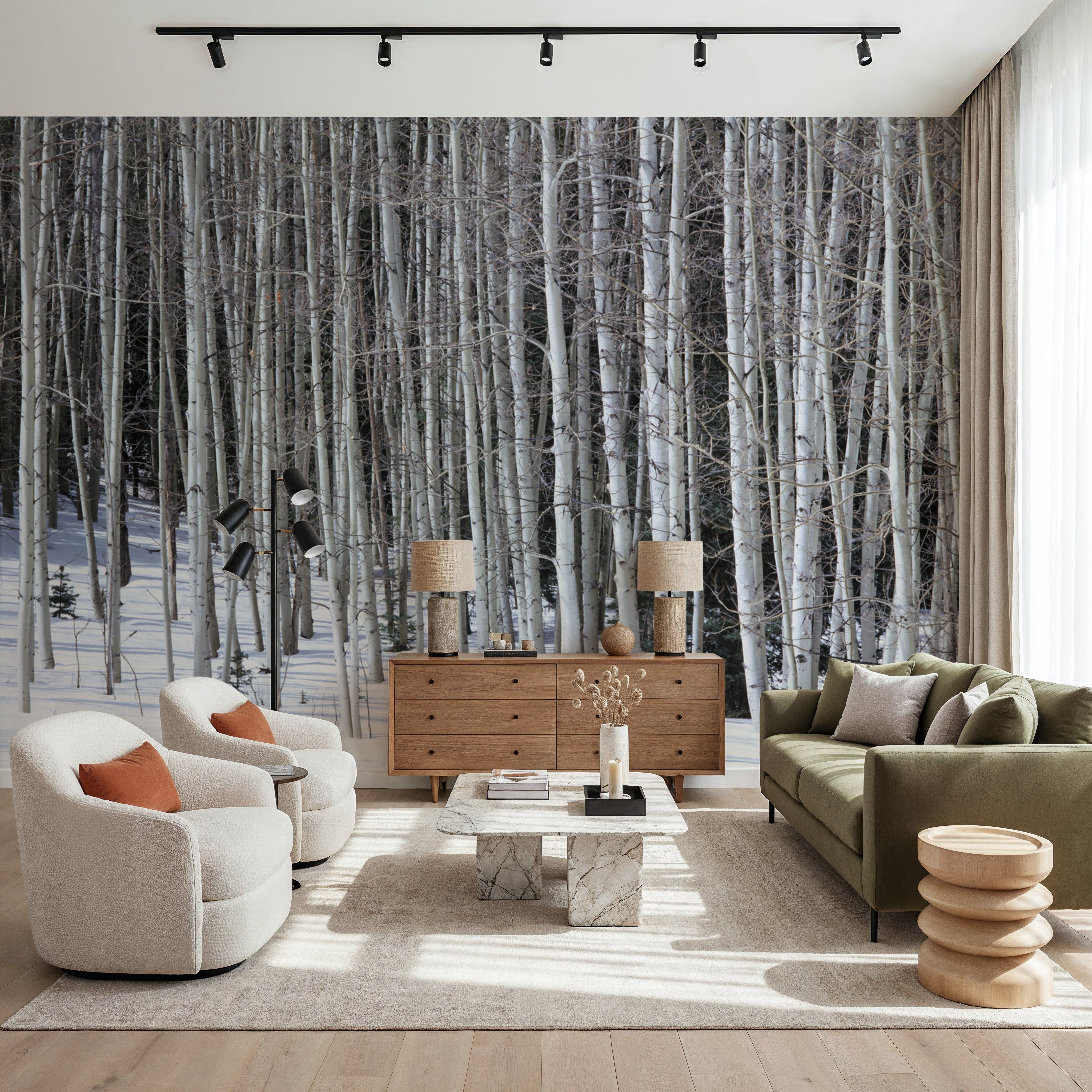 Winter Birch Stillness