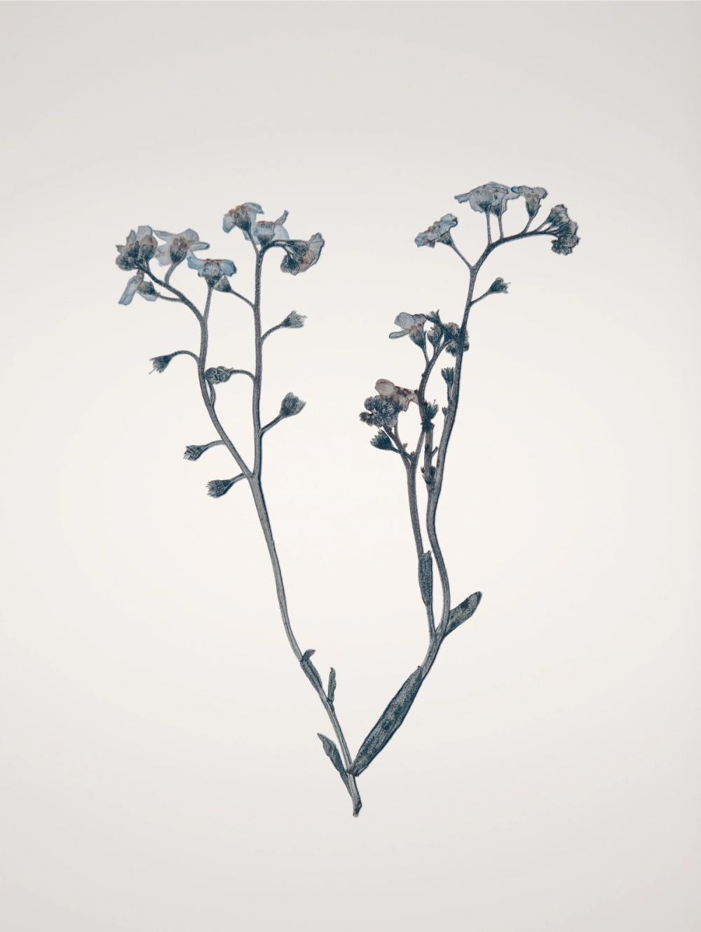 Field Journal Entry I Color