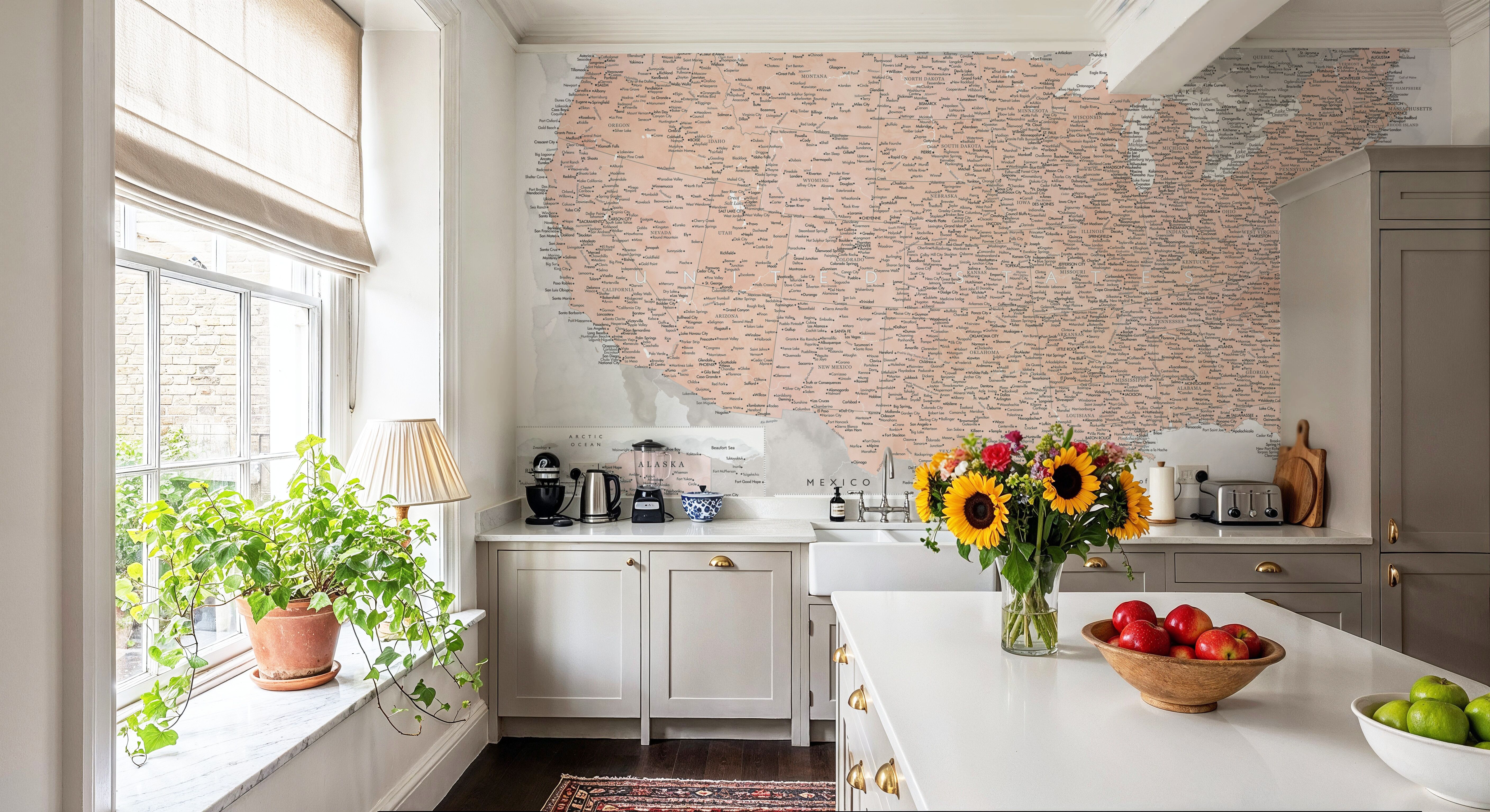 US Map Detailed - Lynette, Wallpaper