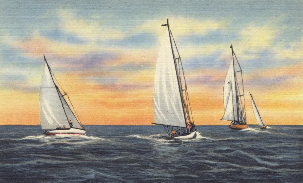 Greetings from the Sea - Screenprint Postcard