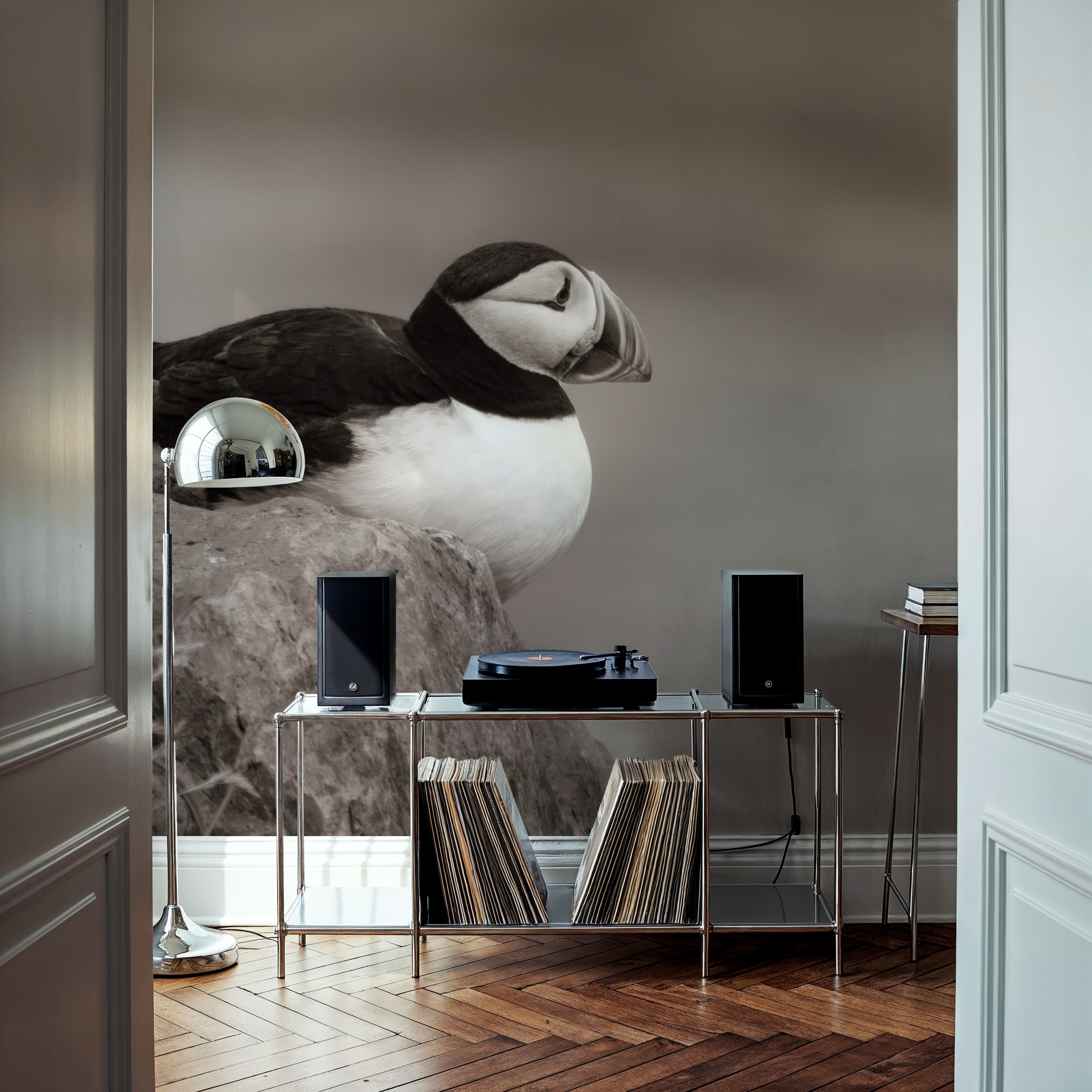 Atlantic Puffin Resting Sepia