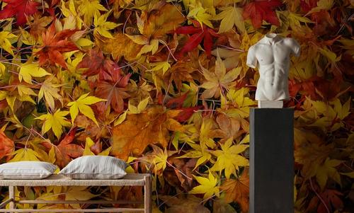 Leaves of Rust