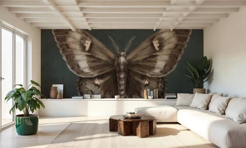 Elegant Moth I