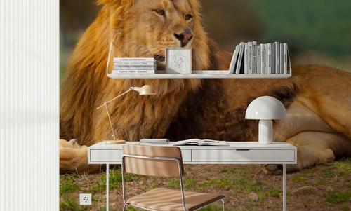 Lion Rest