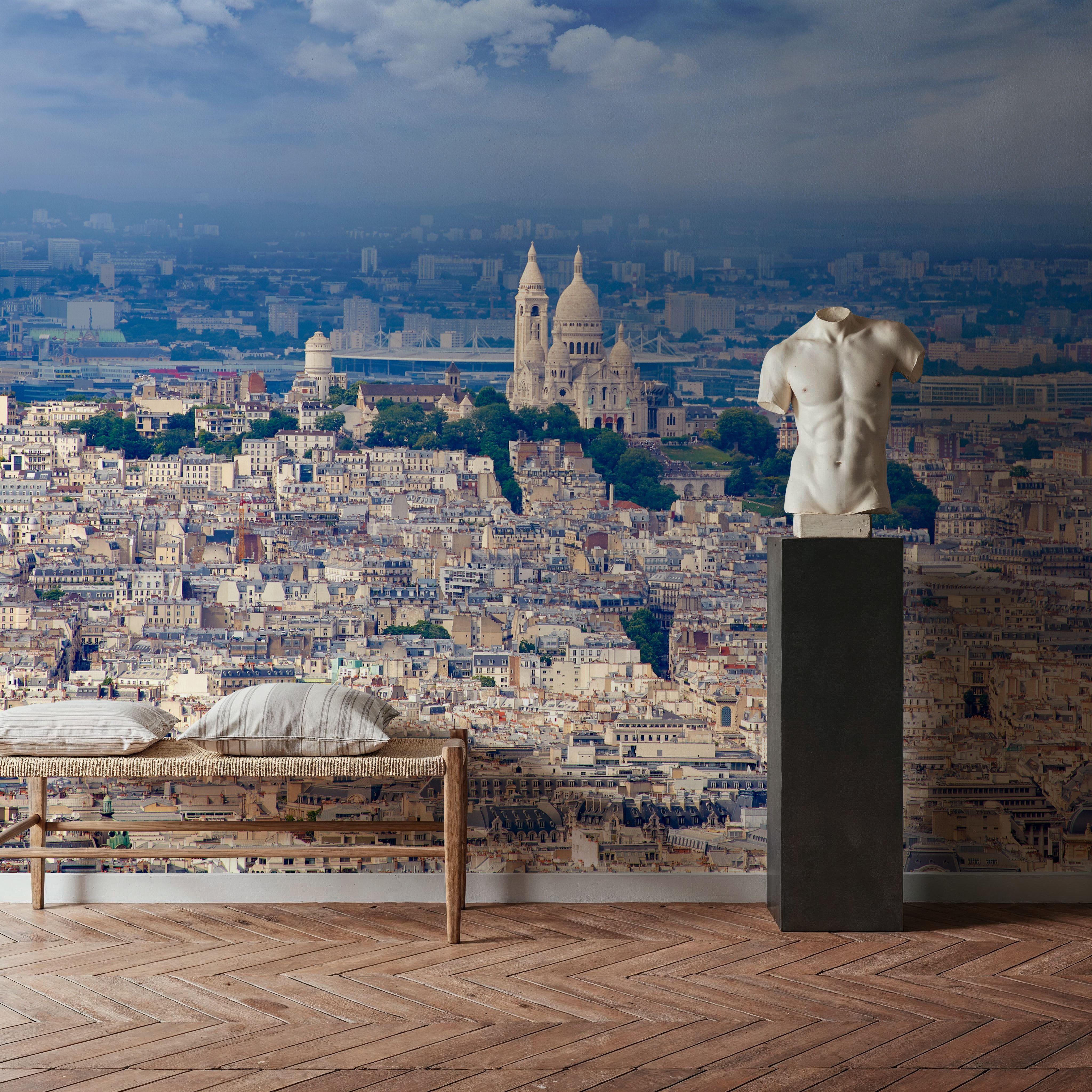 Paris Skyline and Sacre Coeur 