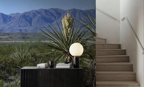 Desert Yucca Vista
