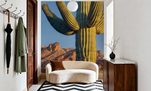 Sonoran Saguaro