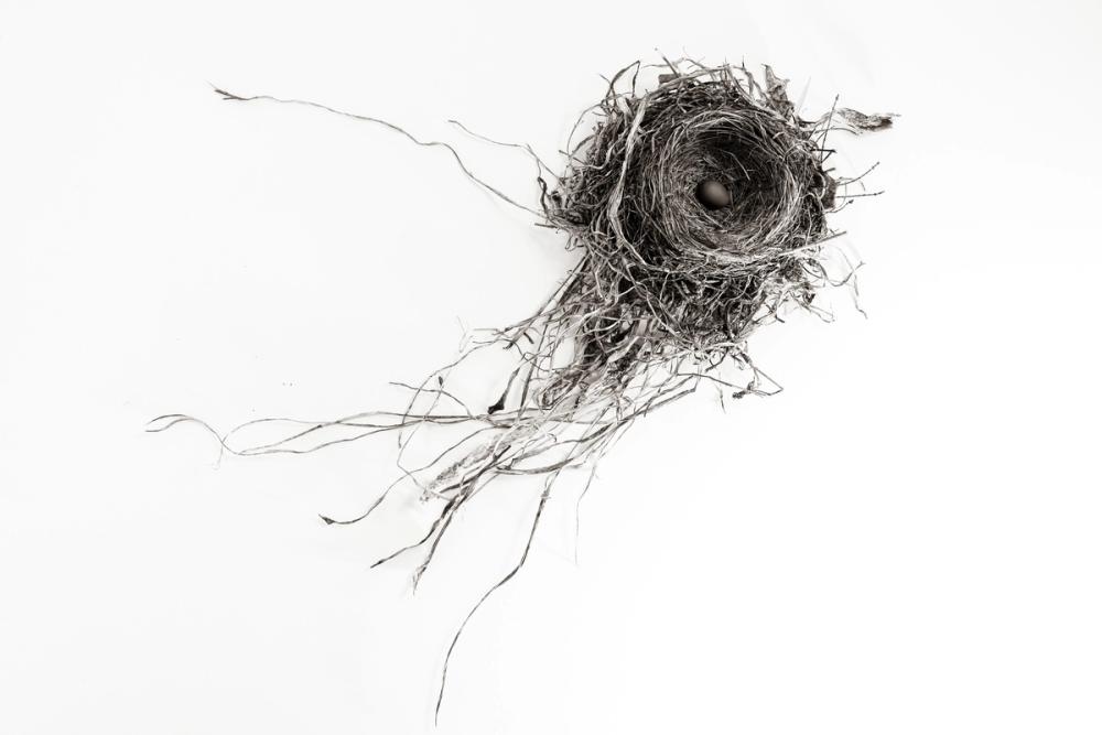 Nest Released