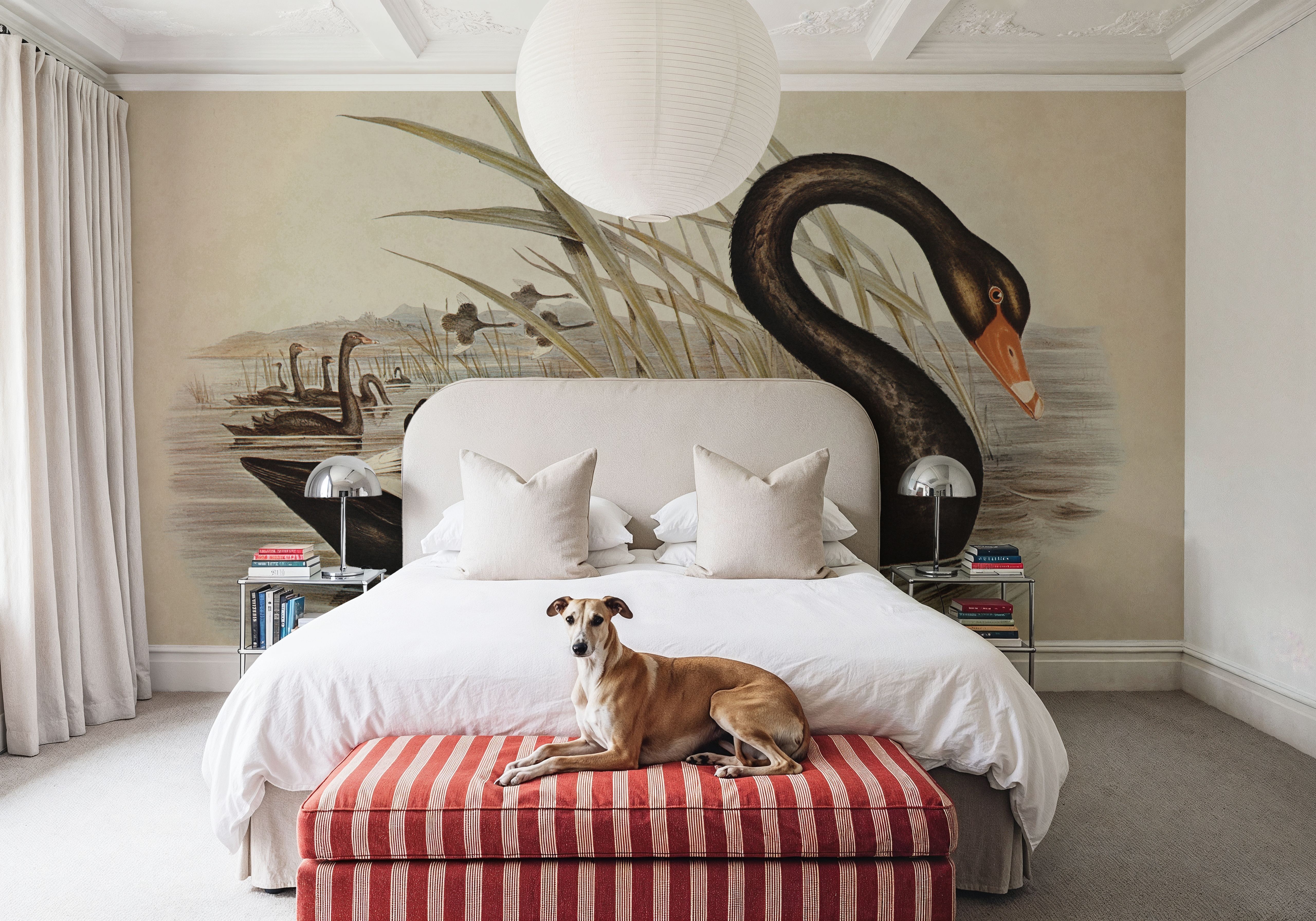 Black Swan Vintage Book Aged