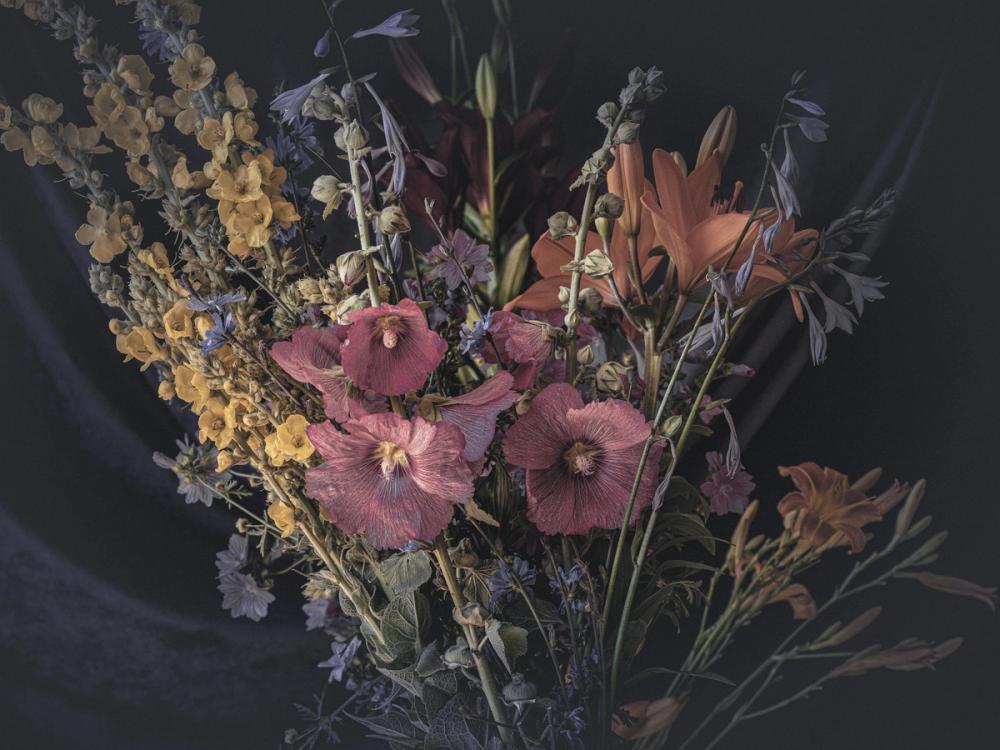 Summer Field Flow Flowers