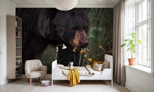 Hungry Bear
