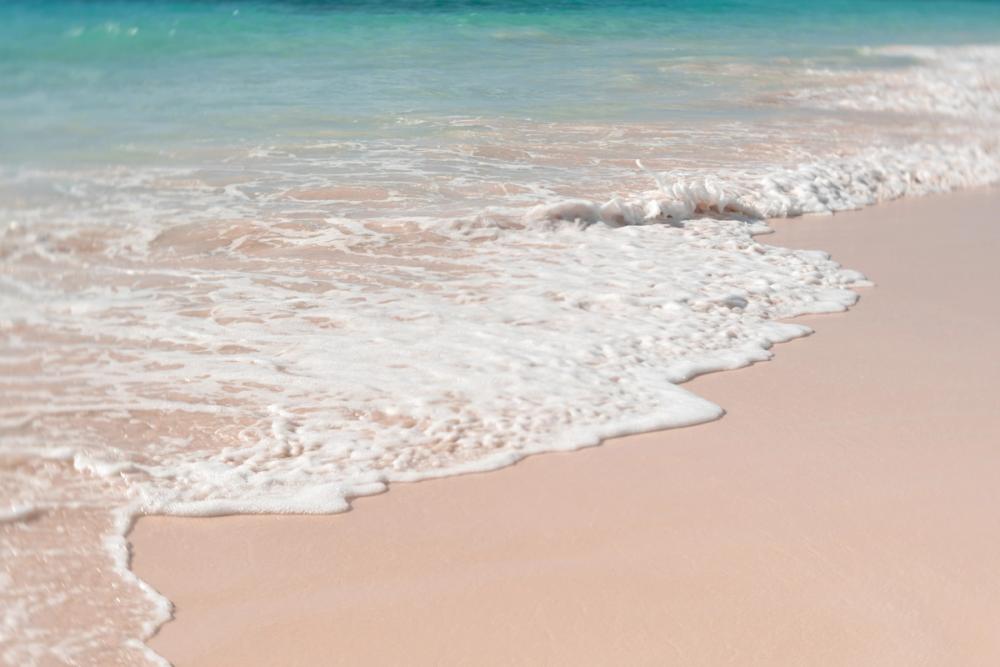Pink Sand Shoreline