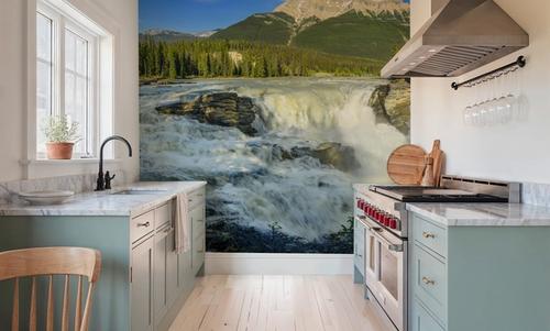 Athabasca River Falls