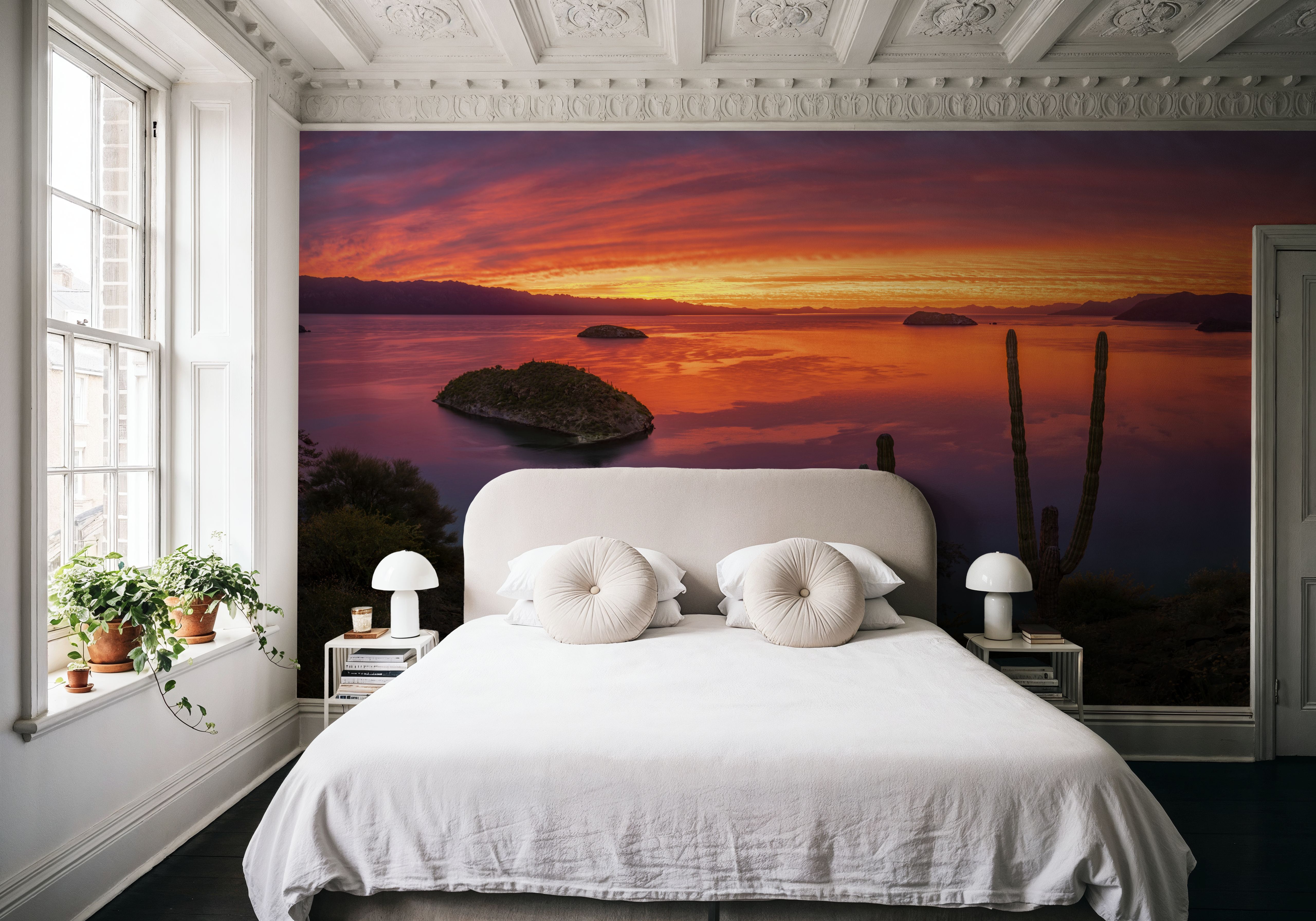 Cardon Cactus Sunset