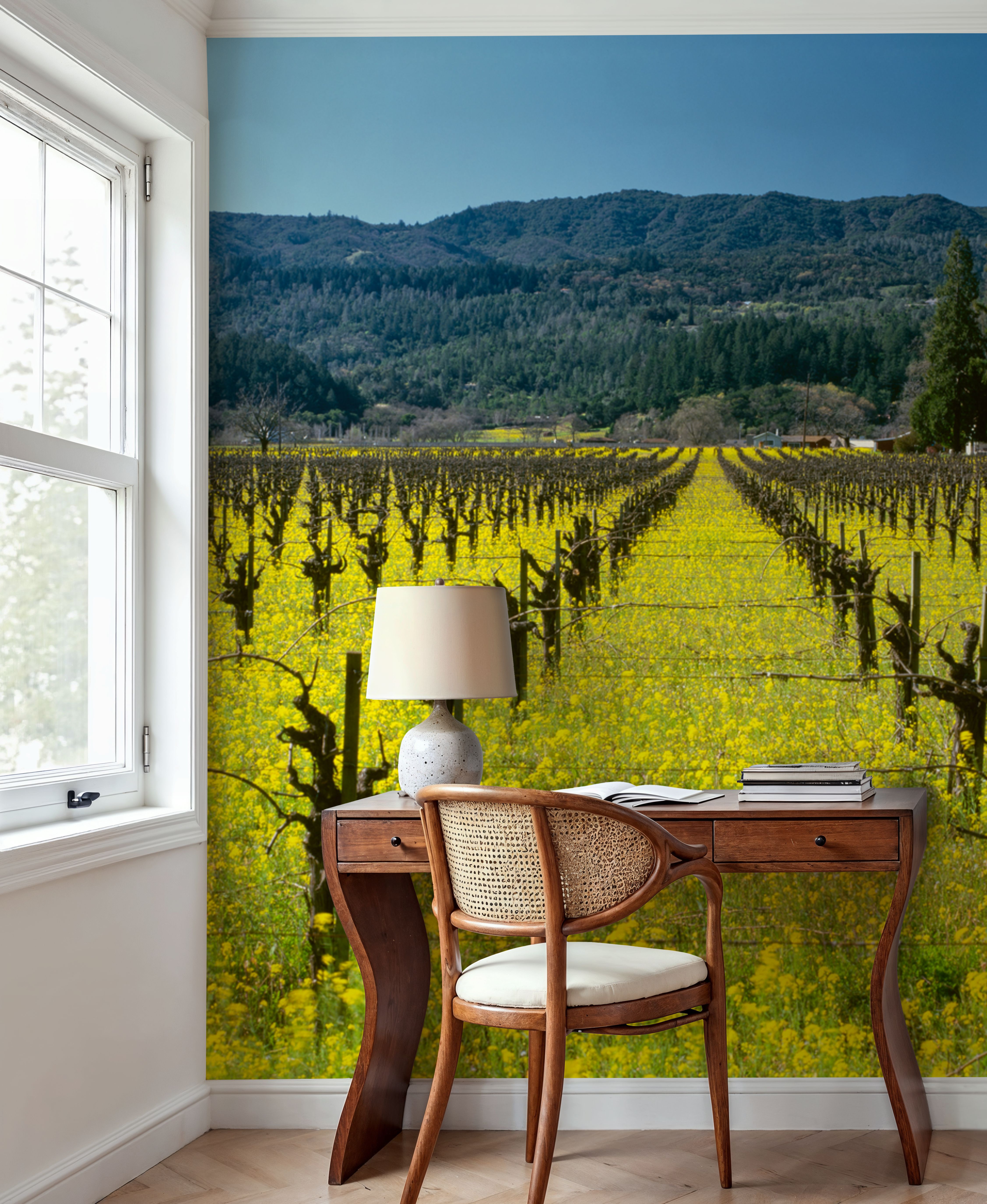 Vineyard Symmetry