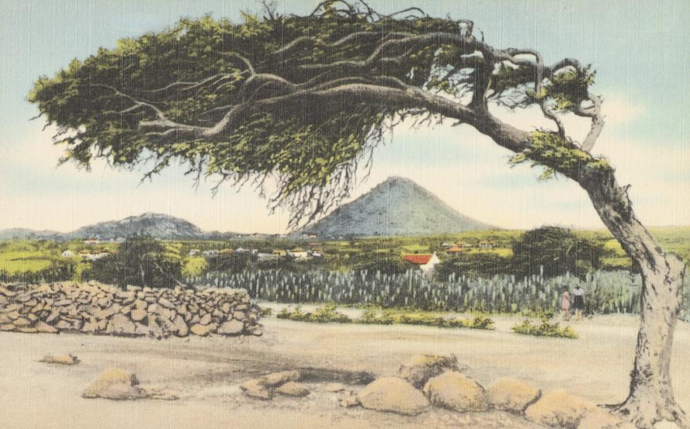 Santa Cruz - Screenprint Postcard