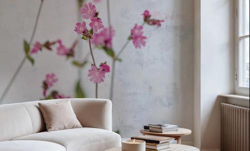 Pink Silene