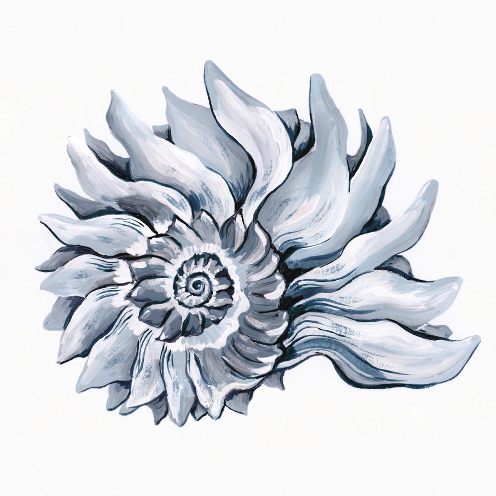 Coastal Imperial Shell Navy