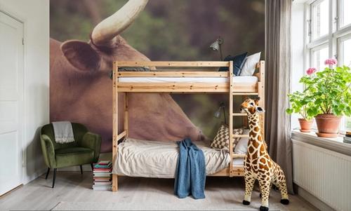 Longhorn Pair