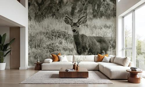 Early Summer Buck