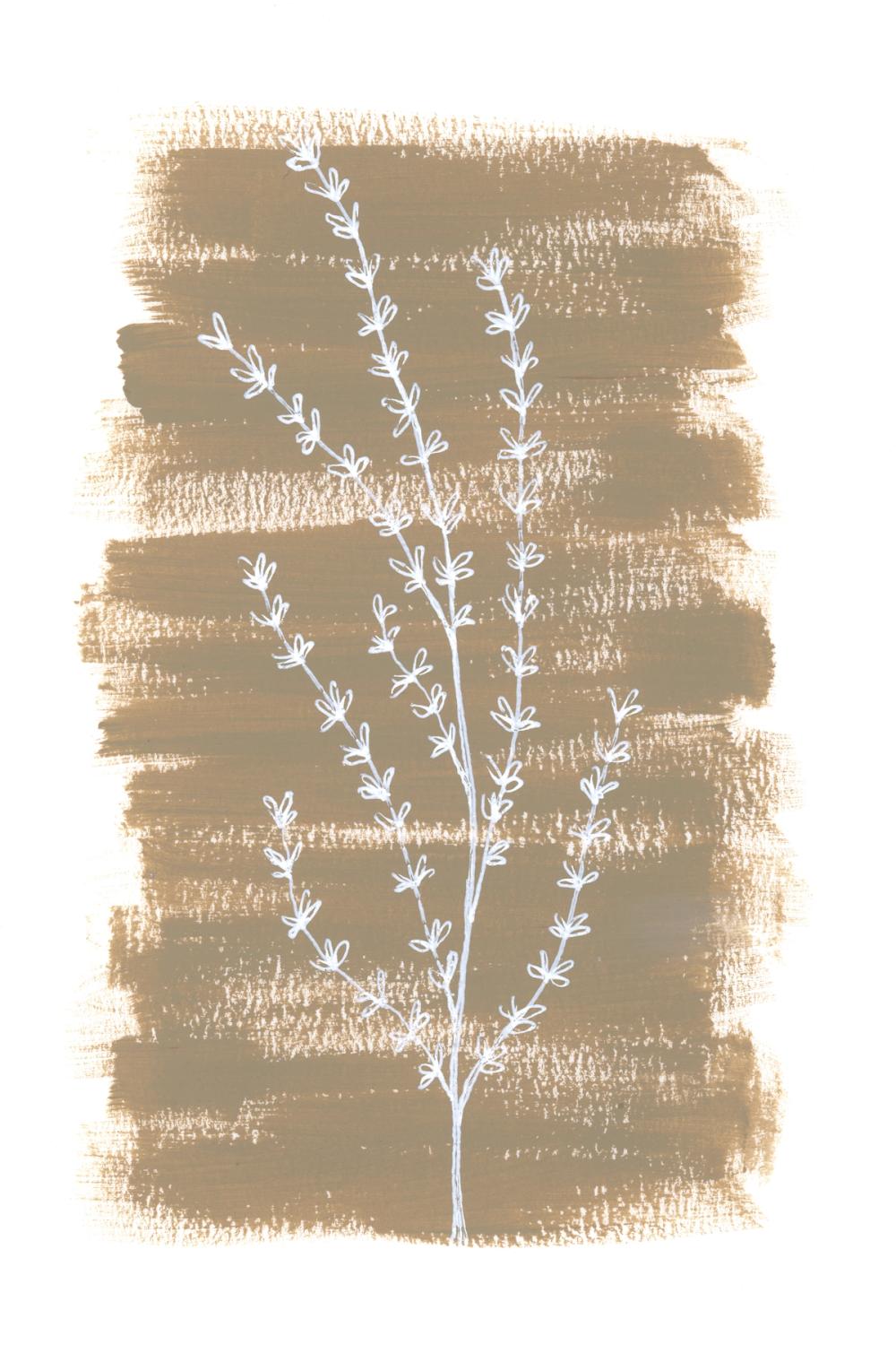 Simple Sprigs of Thyme