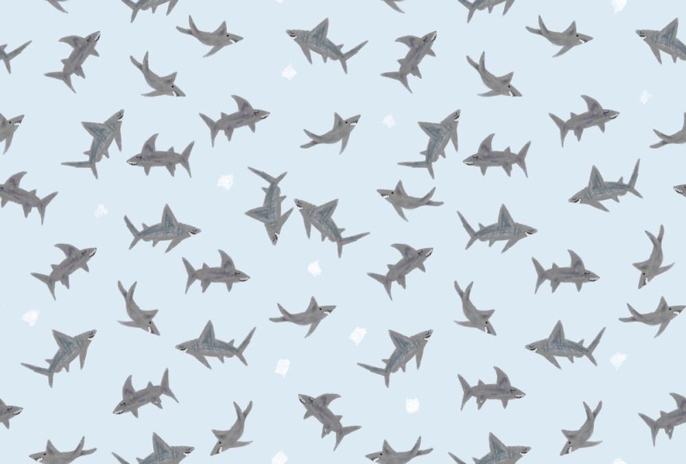 Sharks Everywhere