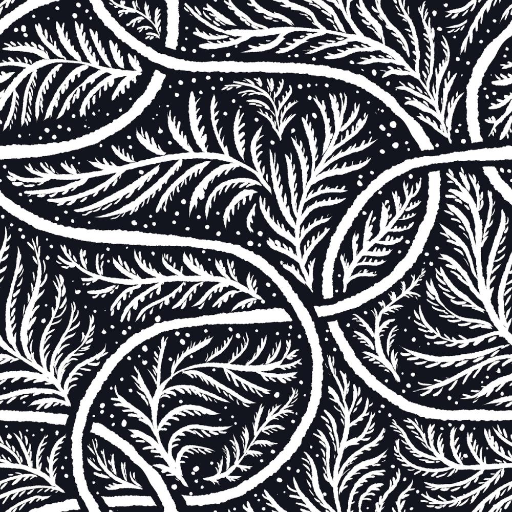 Fern Forest, Liquorice