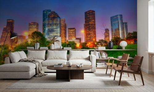 Lush Houston Sunset