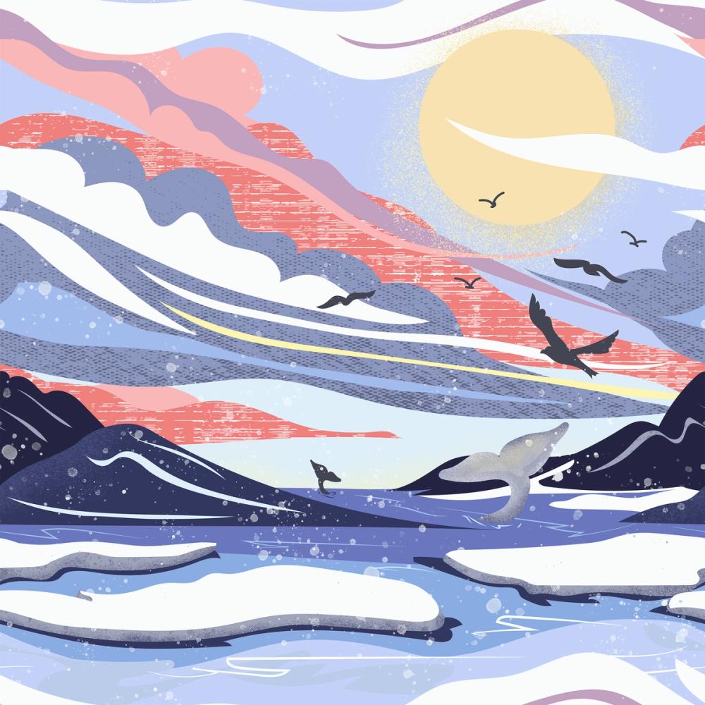 Coastal Apricity, Coral