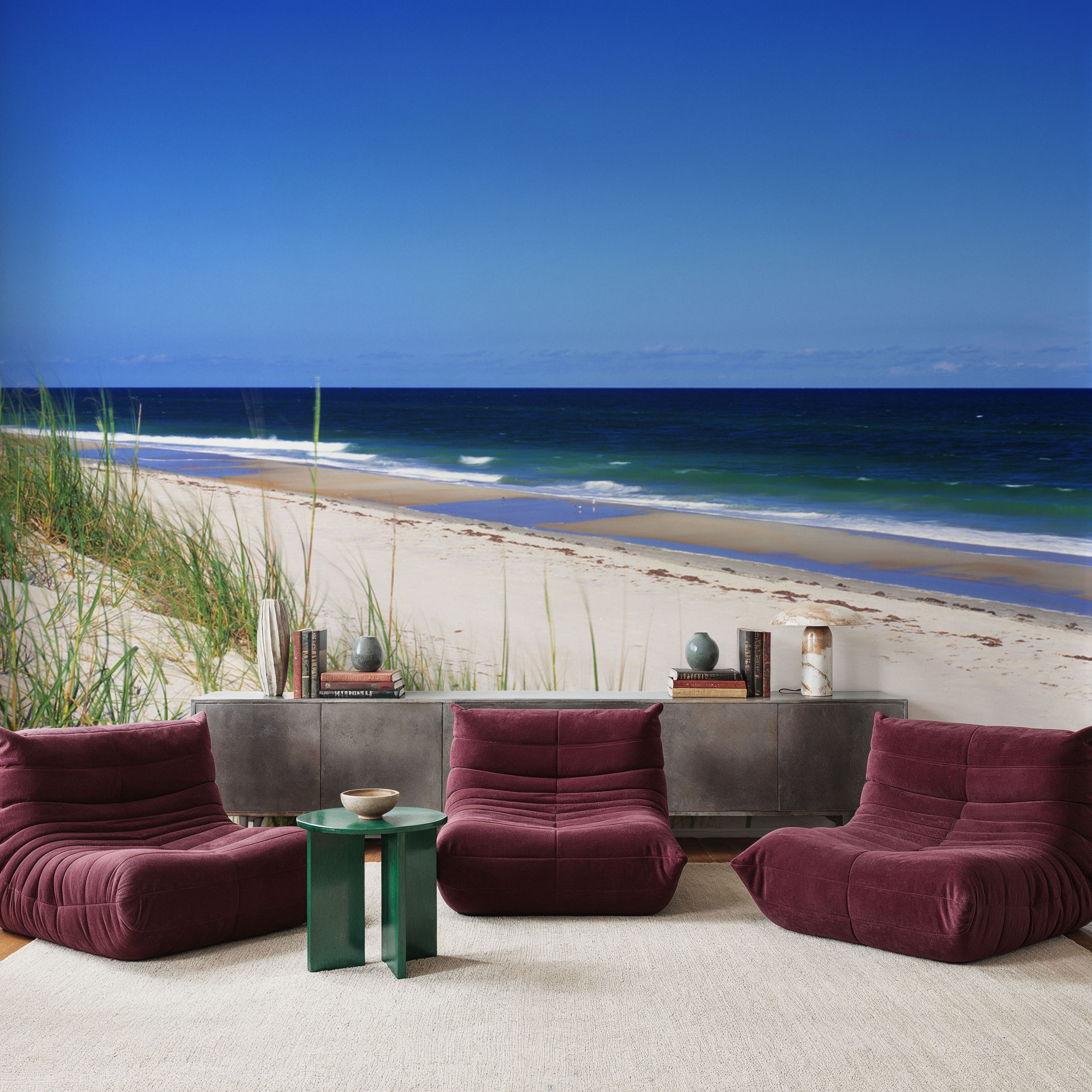 Coastal Dune Serenity