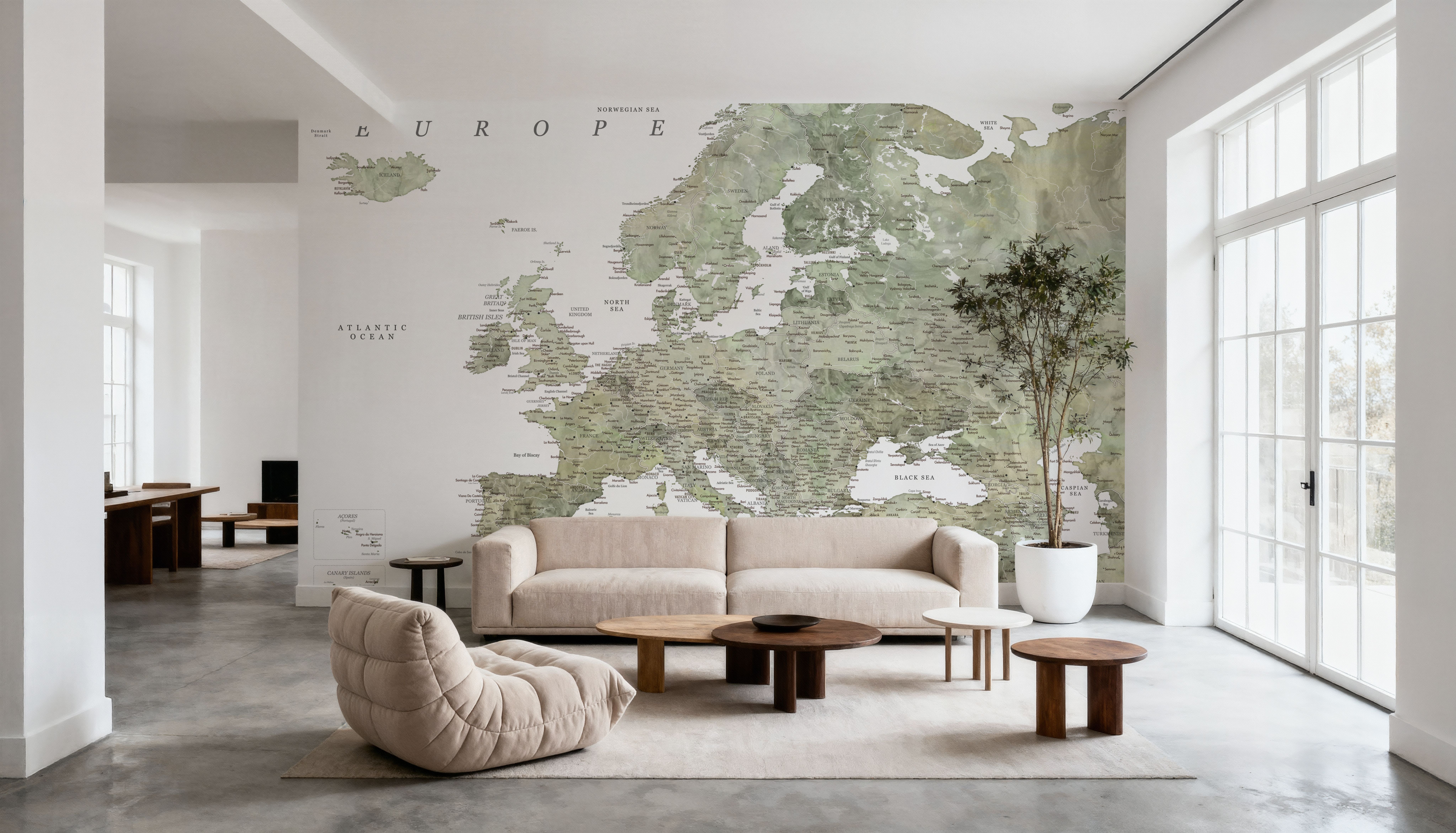 Europe Map Detailed - Livia